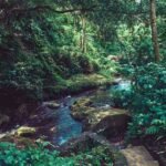 ATV Through Jungle Bali
